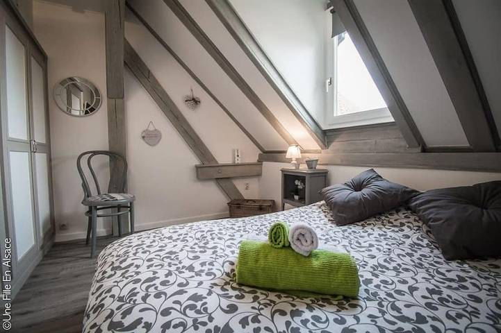 Gîte pour 6 personnes, avec Jardin dans La Montagne des Singes - 2