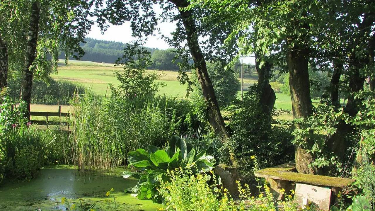 Ganze Ferienwohnung, Ferienwohnung für 3 Personen (65 m²) in Nonnweiler in Nonnweiler, Saar-Nahe-Bergland