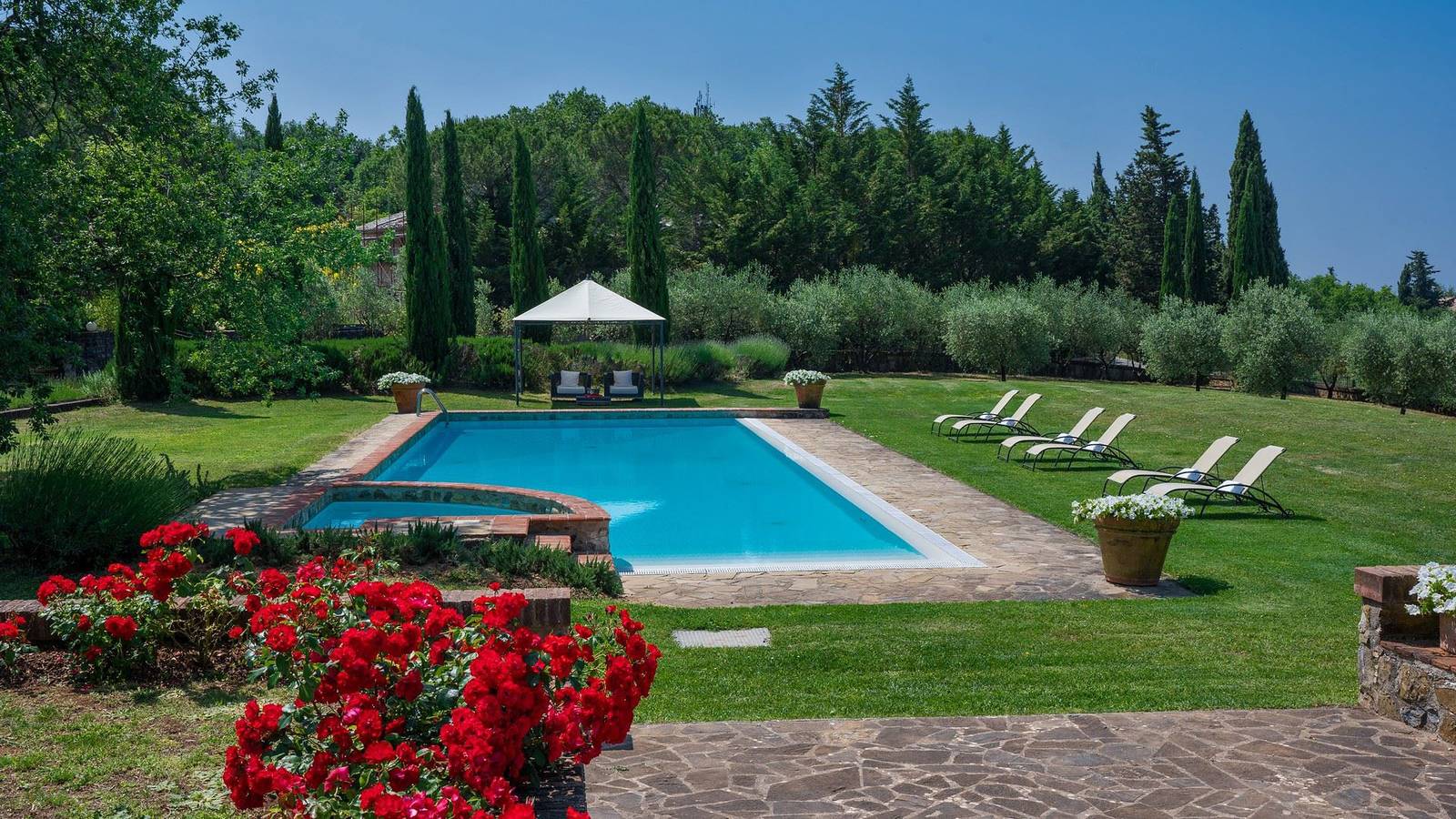 Cresta del Chianti in Castelnuovo Berardenga (Comune), Chianti