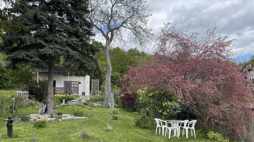 Ferienhaus für 2 Personen, mit Garten in Thale - 4