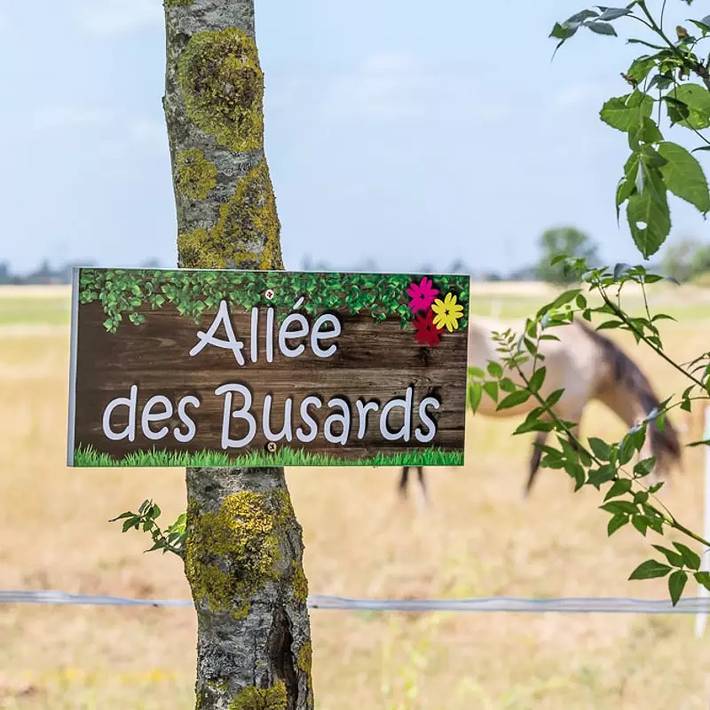 Camping für 6 Personen, mit Ausblick und Terrasse sowie Pool in Vendée - 2