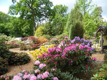 Ferienwohnung für 5 Personen in Westerstede, Ammerland, Bild 4