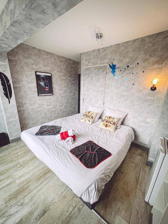 Maison d’hôte pour 2 personnes, avec vue et terrasse, animaux acceptés à Épinal - 4