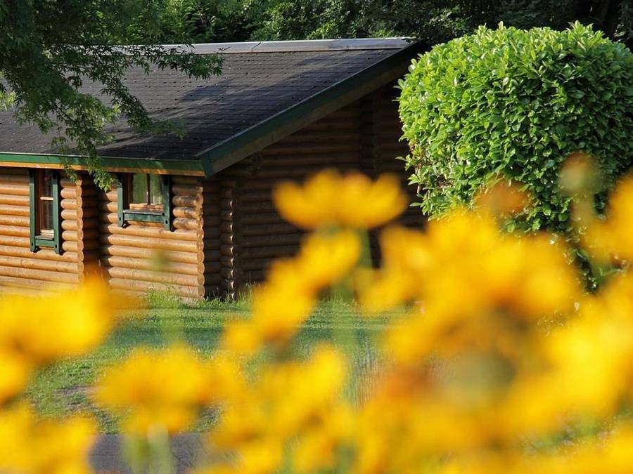 Camping Ecovillage Le Soleil Du Pibeste - Chalet 4 personas - chalet des marmottes in Agos-Vidalos, Pirineos franceses