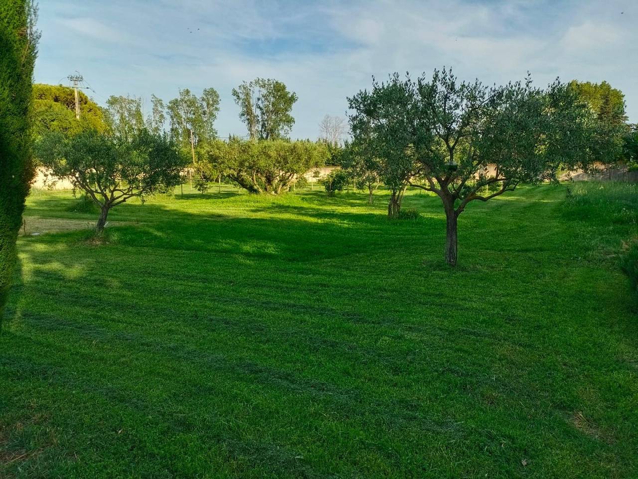 Gîte Mas des Roumaises avec piscine in Le Thor, Vaucluse