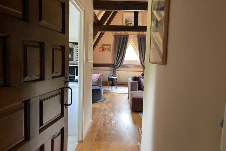 Gîte pour 3 personnes, avec jardin à Tourgéville - 4