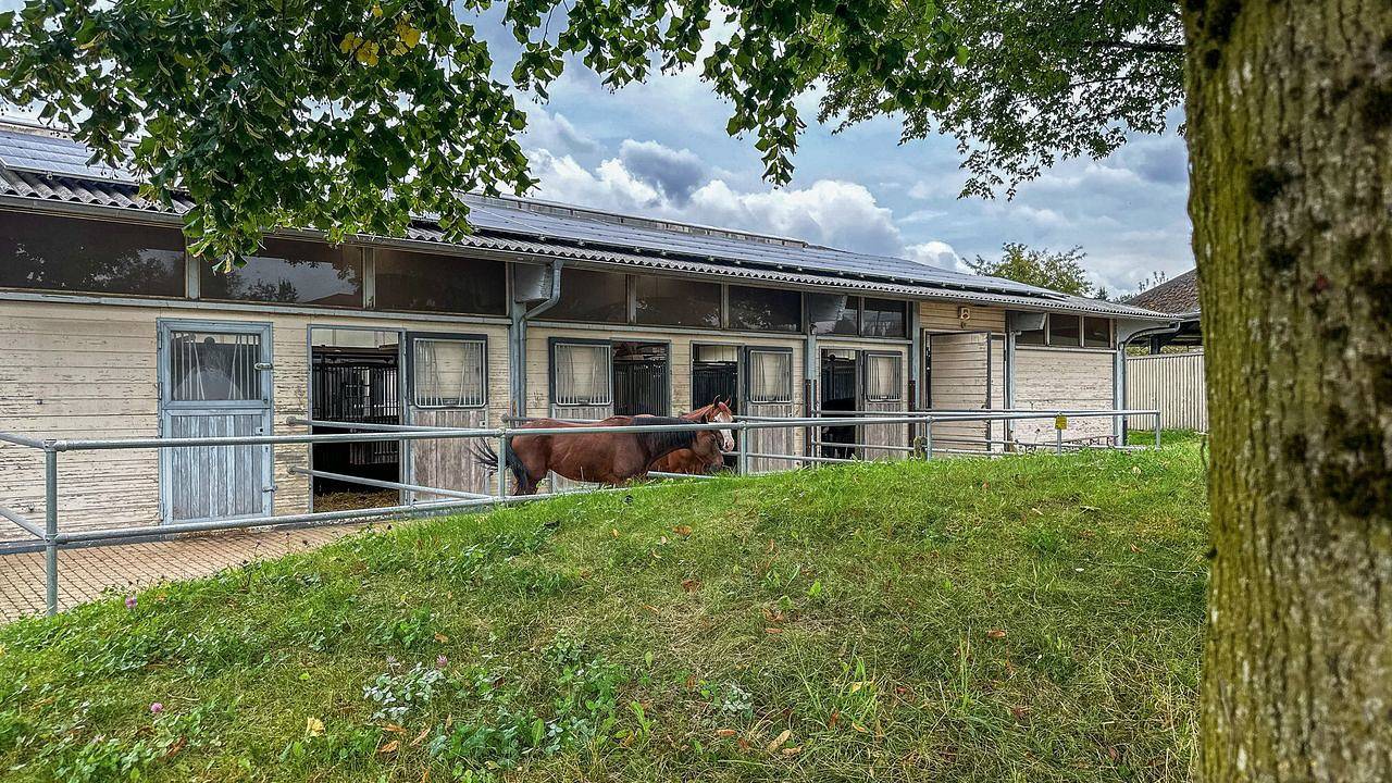 Ganze Ferienwohnung, Ferienwohnung für 5 Personen (65 m²) in Ravensburg in Ravensburg, Region Bodensee-Oberschwaben