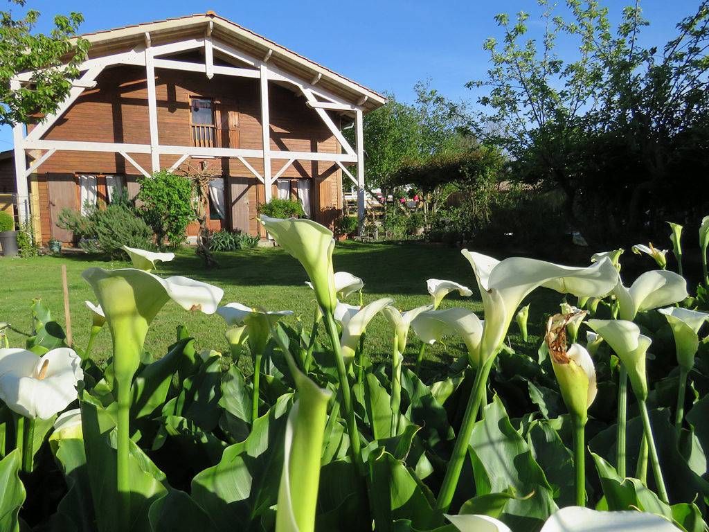 Les Arums de Fondeminjean - Chambre La Médocaine in Vertheuil, Parc naturel régional du Médoc