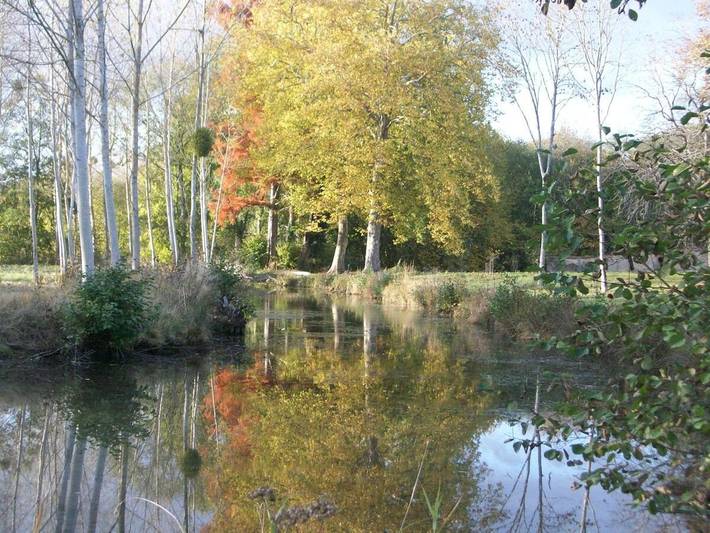 Location de vacances pour 11 personnes, avec vue ainsi que terrasse et jardin, animaux acceptés à Montbouy - 2