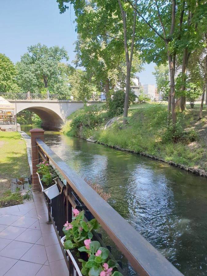 Ferienwohnung für 2 Personen, mit Terrasse und Ausblick in Allenstein - 4