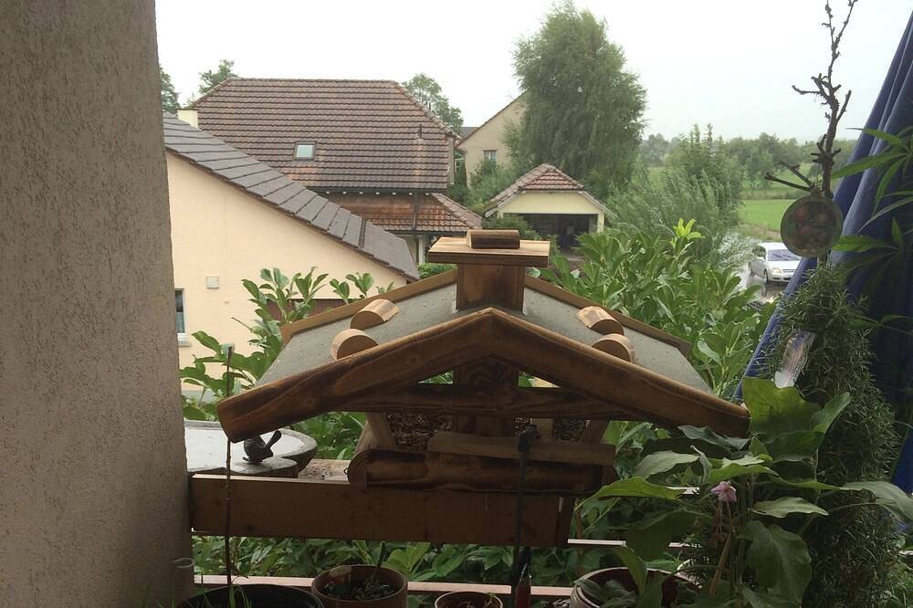 Ganze Wohnung, Ferienwohnung One mit Seesicht in Langrickenbach, Bodensee (Schweiz)