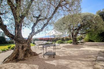Location De Vacances pour 10 Personnes dans Mouans-Sartoux, Région de Cannes, Photo 1