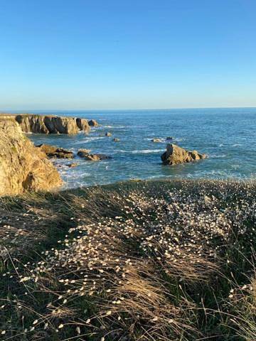 Gîte pour 4 personnes, avec piscine et jardin dans Plage de la Govelle - 4
