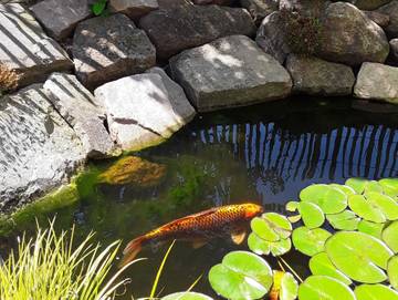 Ferienwohnung für 4 Personen in Hann. Münden, Werratal, Bild 4