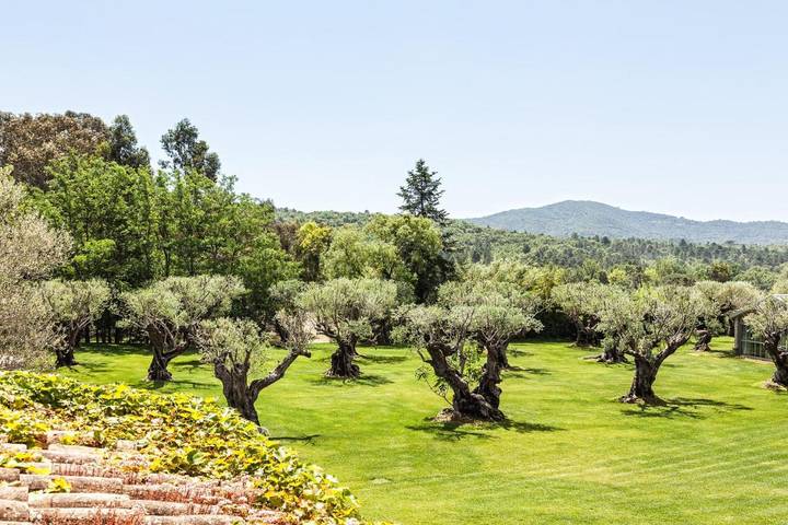 Maison d’hôte pour 8 personnes, avec jardin et piscine à Gassin - 3