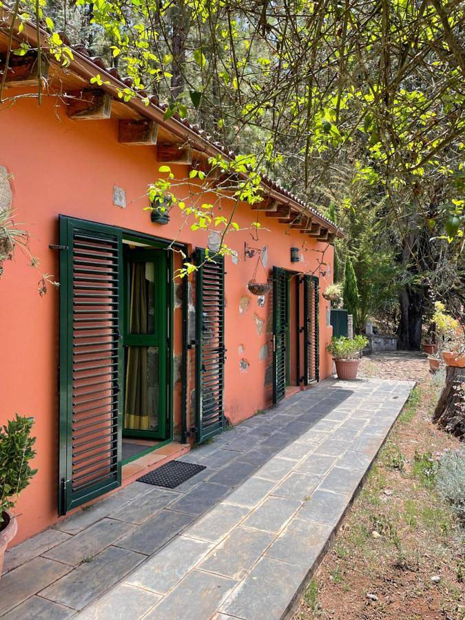 Finca El Lance Zumacal in El Zumacal, Firgas