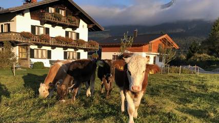 Ferienwohnung für 2 Personen in Wallgau, Bayerische Alpen, Bild 2