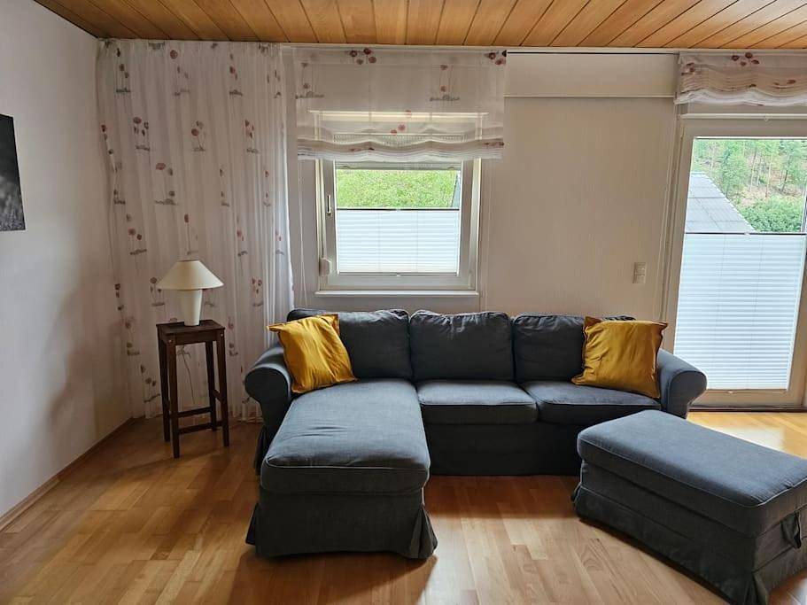Appartement entier, Große Ferienwohnung am Waldrand in Schönau, Kurpfalz