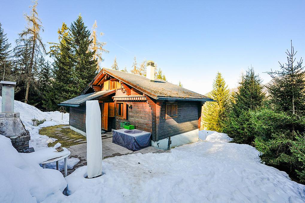 Ch 384.011 - Chalet Les Criquets in La Tzoumaz, Riddes