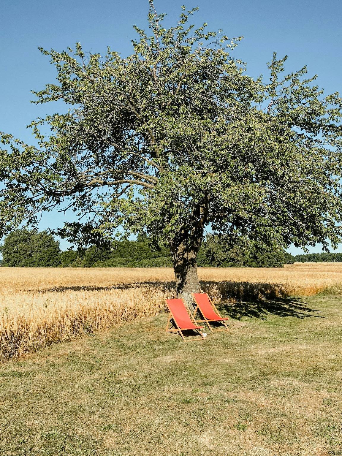 Modernidad en una granja con vistas al Bodden in Ummanz, Rügen