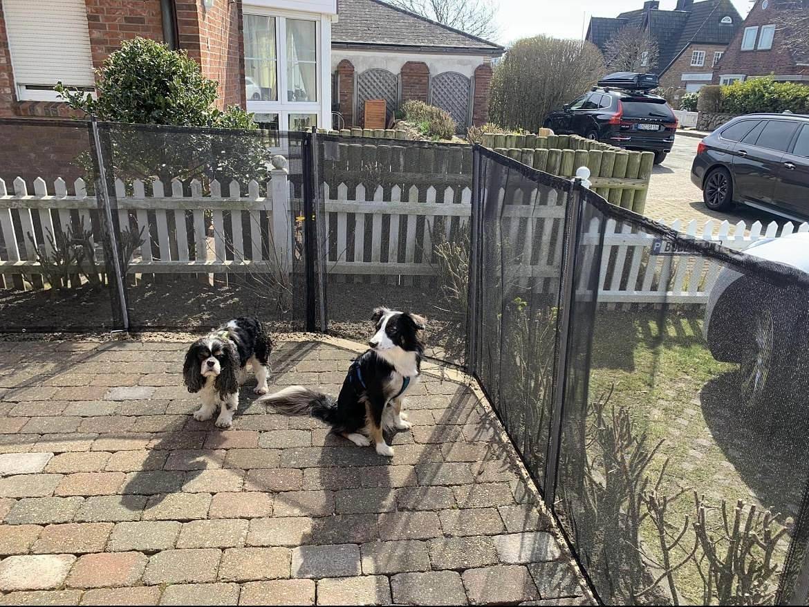 Ganze Ferienwohnung, Ferienwohnung Maritimo in Westerland, Sylt (Gemeinde)