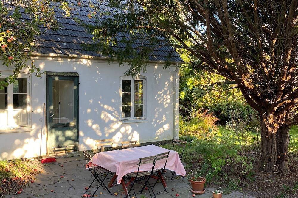 Møn, Denmark - Farmhouse in countryside, 1km from forest & beach in Hårbølle, Swedish Baltic Sea