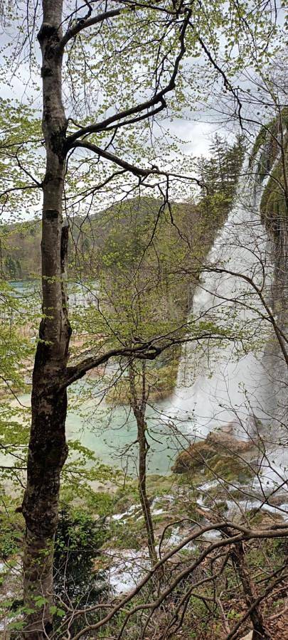 Maison d’hôte pour 3 personnes, avec vue et jardin dans Plitvička Jezera - 2