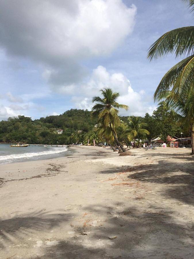 Gîte pour 4 personnes, avec terrasse ainsi que piscine et jardin dans Anse à l'Ane - 2