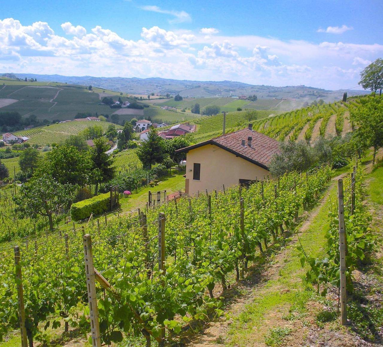 Cascina tra i vigneti a Nizza Monferrato in Nizza Monferrato, Provincia d'Asti