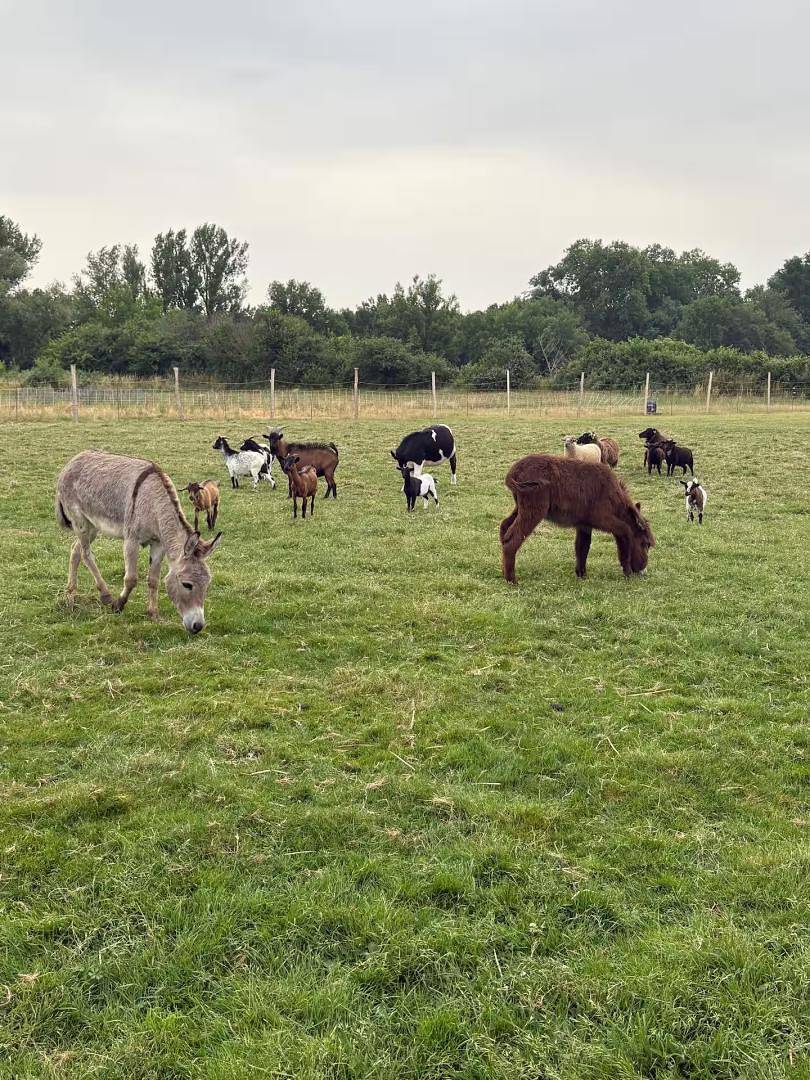 Domaine de Laprade in Graulhet, Région de Castres