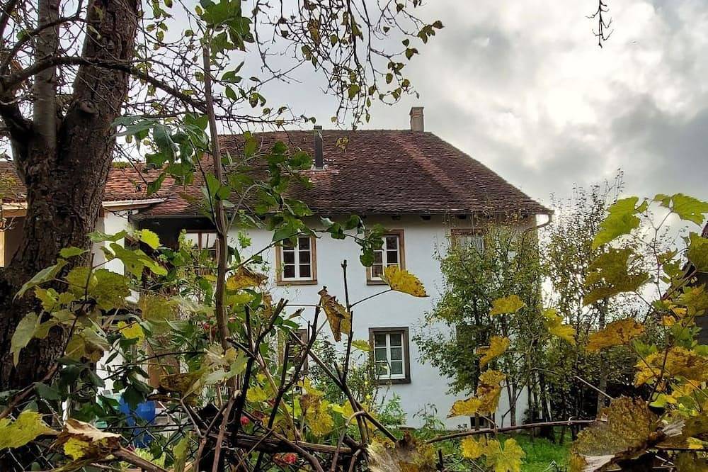 Ganze Wohnung, Giselas Ruheplatz in Region Basel RDK