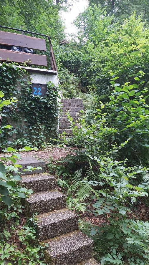 Ferienhaus für 3 Personen, mit Balkon und Terrasse sowie Garten und Ausblick in Vöhl - 2