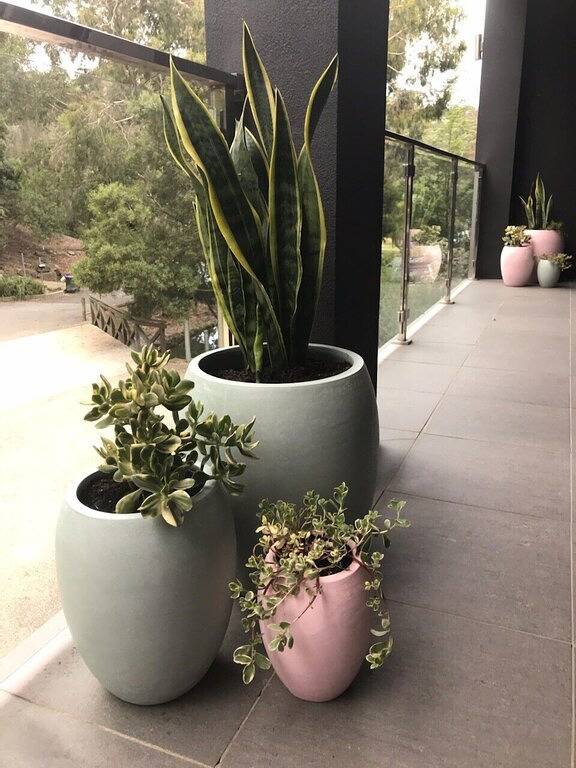 Das Boulevardhaus Lorne in Lorne, Great Ocean Road