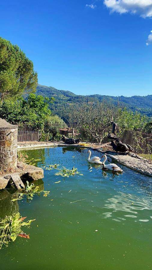 Location de vacances pour 10 personnes, avec vue et jardin ainsi que balcon et piscine à Terras de Bouro - 3