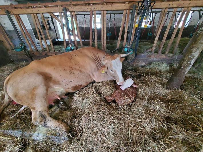 Ganze Ferienwohnung, Biohof Dimper - Hühner.Nest in Altenau (Bayern), Saulgrub