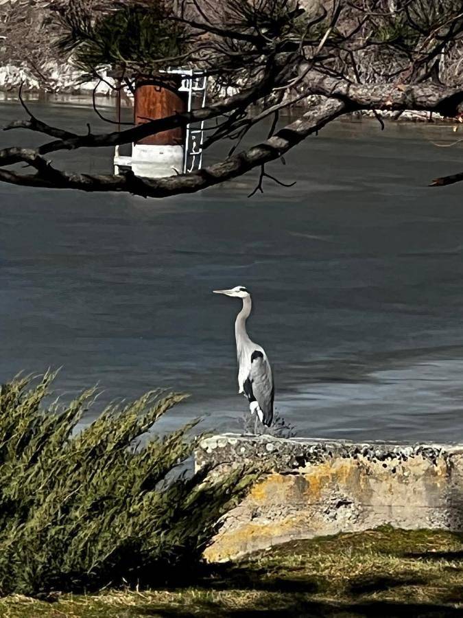 Chambre d’hôte pour 2 personnes, avec vue ainsi que vue sur le lac et jardin - 1