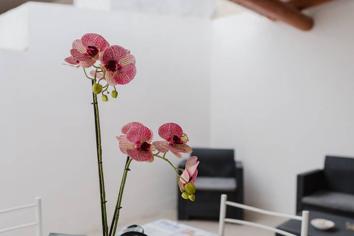 Gîte pour 4 personnes à Marsala - 4