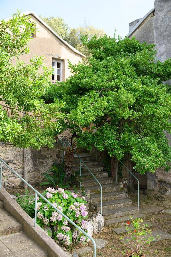 Gîte pour 7 personnes, avec vue ainsi que terrasse et jardin dans Plage de la Marine de Scala - 4