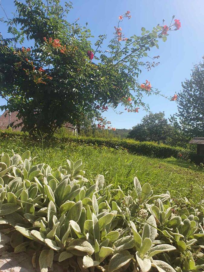 Location de vacances pour 2 personnes, avec jardin dans Plitvička Jezera - 4