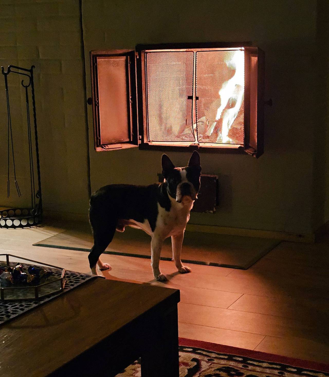 Carelian Pearl - house in Ilomantsi, Eastern Finland in North Karelia