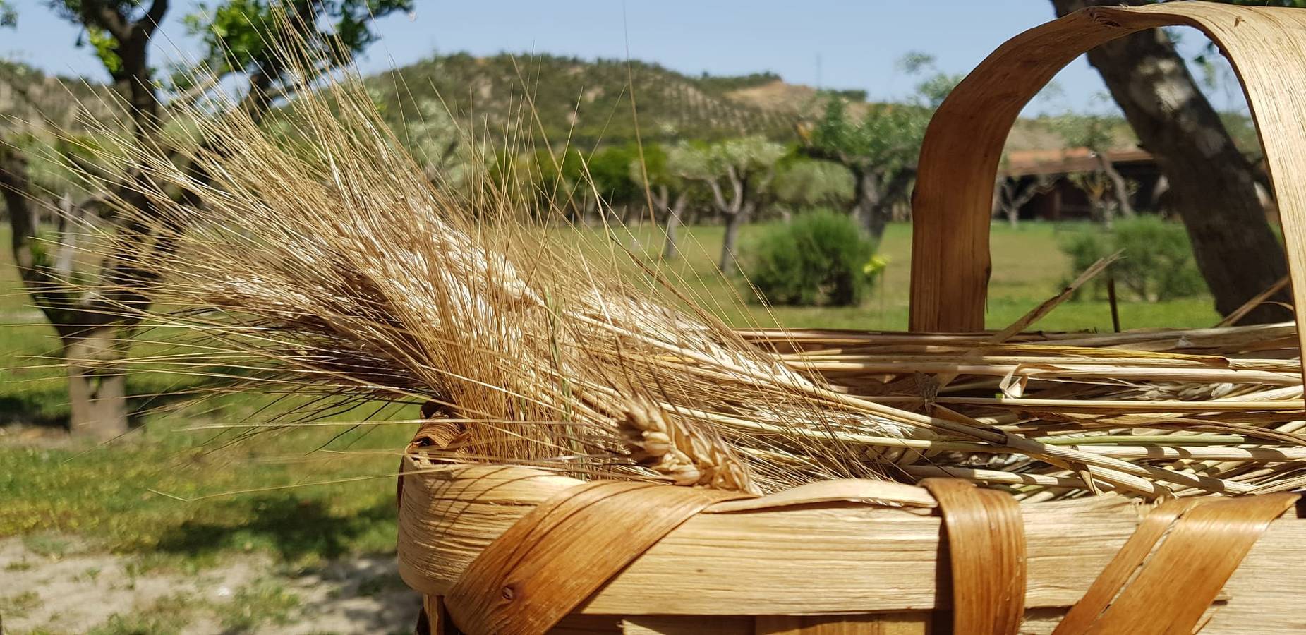 Zimmer 'La Bascula' mit privatem Garten, Wlan und Klimaanlage in Crotone, Crotone Provinz