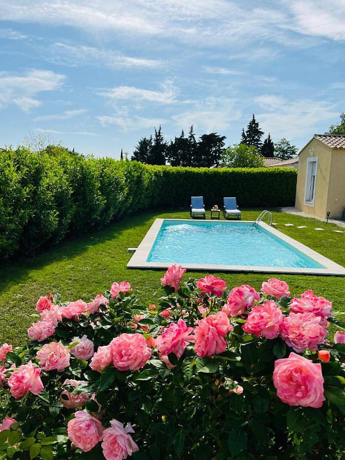 Un coin tropical en Provence ! in L'Isle-sur-la-Sorgue, Vaucluse