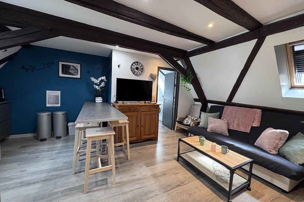 Apartamento entero, Gîte du Figuier Sélestat 3* Courtyard and air conditioning, 20 minutes from Europa-Park in Sélestat, Región de Sélestat-Erstein