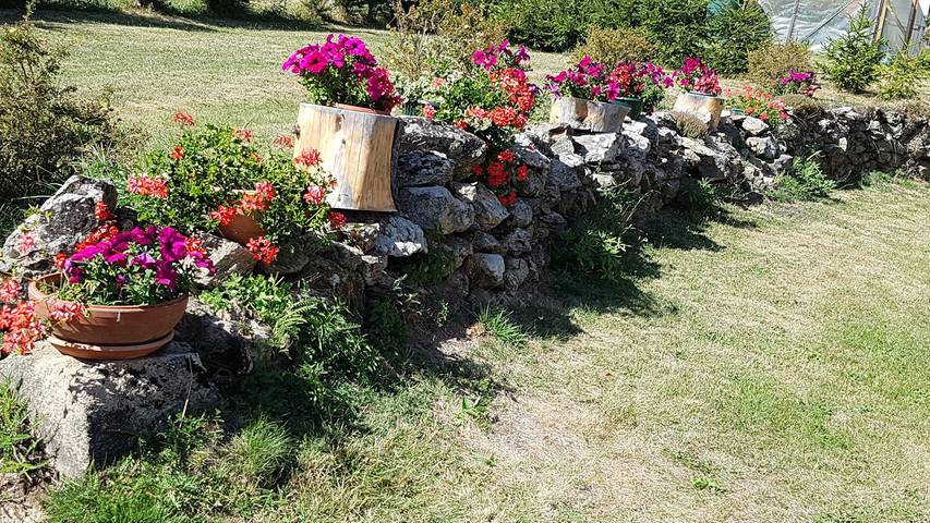 Gîte pour 4 personnes, avec jardin et terrasse dans Parc Naturel Régional Livradois-Forez - 3
