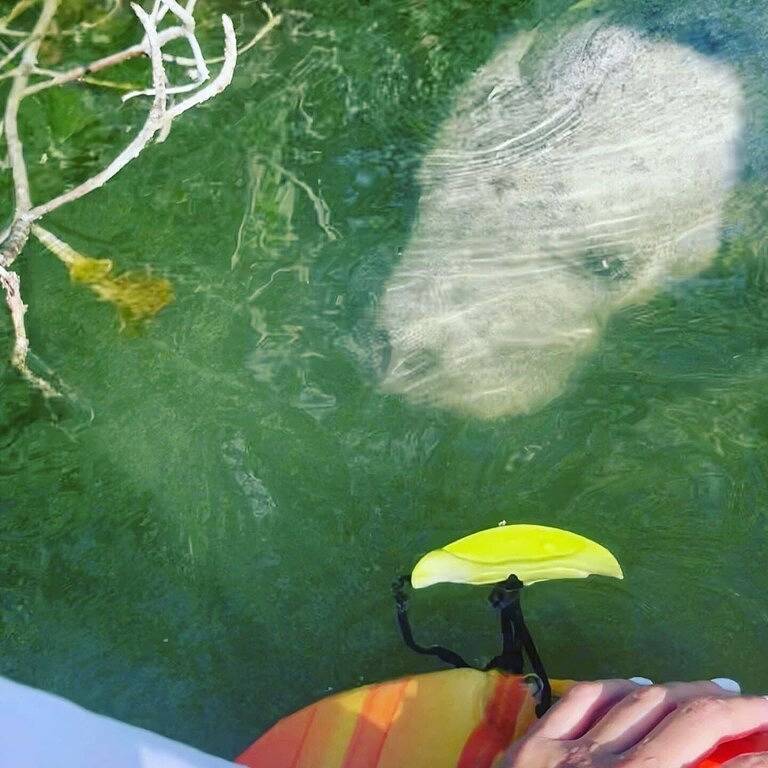 Walk to Sombrero Beach •Waterfront, 50’ Dock, Spa, Kayaks, Bikes, Ideal Location in Sombrero Beach, Marathon