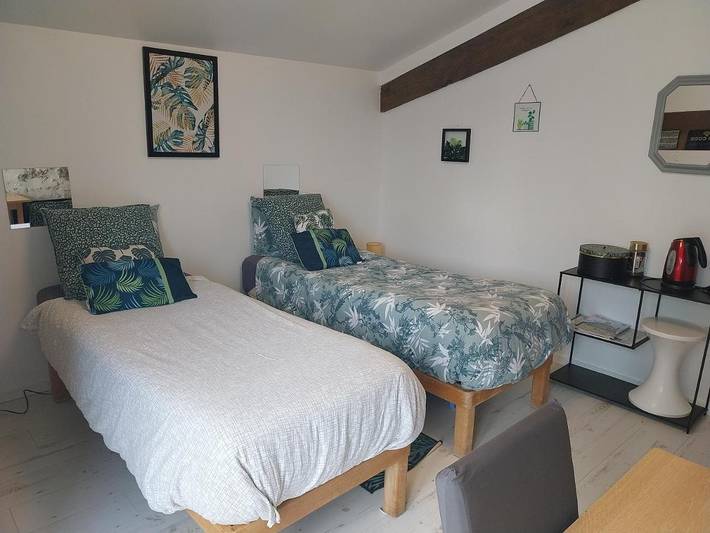 Chambre d’hôte pour 2 personnes, avec Terrasse et Jardin à Vienne (France) - 2