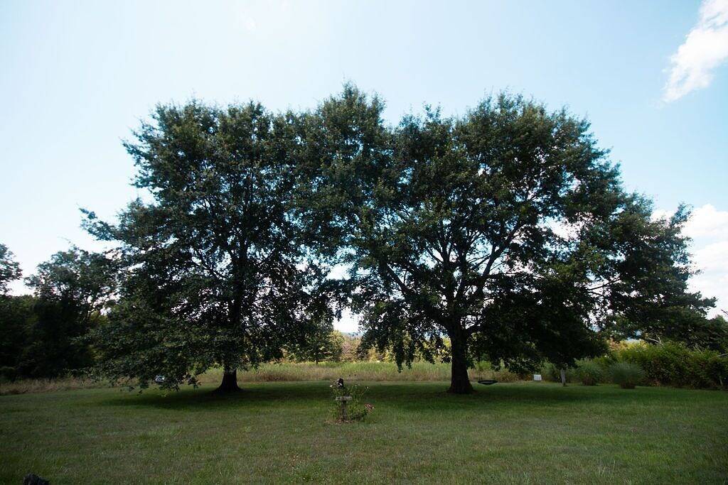 Hundefreundlich! 3 Br 2 Ba auf 4 Morgen, eingezäunt, in den Ausläufern der Ozarks in Ozark Mountains