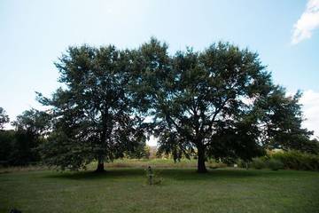 Vacation House for 6 Guests in Ozark Mountains, Arkansas, Picture 1