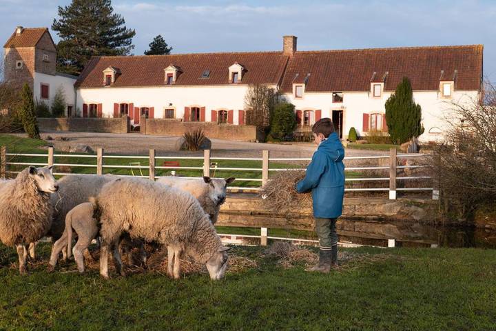 Location de vacances pour 5 personnes, avec sauna ainsi que jardin et vue à Wierre-Effroy - 4