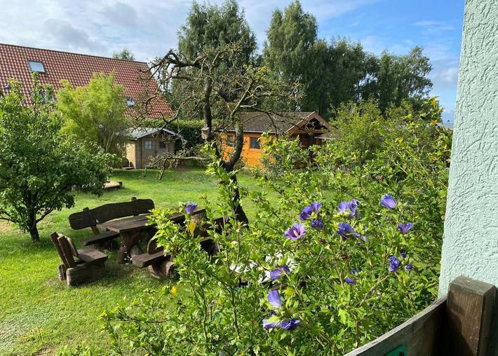 Ferienhaus für 12 Personen, mit Sauna und Garten sowie Terrasse in Koserow - 4